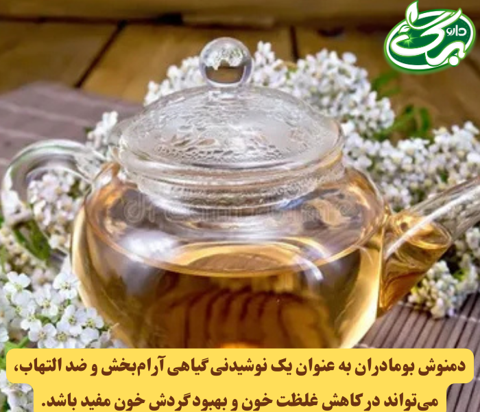 بومادران به کاهش التهاب، بهبود گردش خون و رقیق‌کنندگی خون کمک می‌کند.