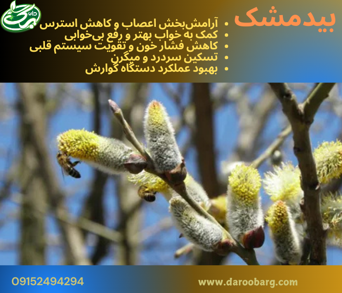 عرق بیدمشک یک محصول گیاهی آرامشبخش است که برای کاهش استرس، بهبود خواب، کاهش درد و التهاب و تقویت سلامت عمومی بدن مفید است. همچنین، خواص آن در مراقبت از پوست و کاهش علائم پیری نیز شناخته شده است.