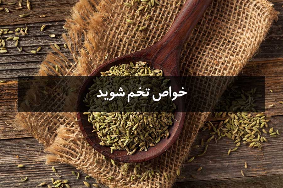 خواص تخم شوید + نحوه مصرف آن
