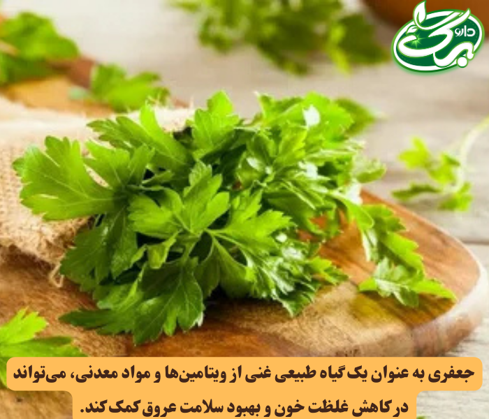 جعفری به تقویت دیواره رگ‌ها، کاهش التهاب و بهبود گردش خون کمک می‌کند.