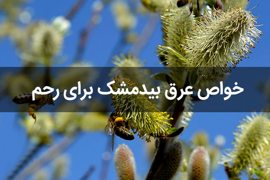 خواص عرق بیدمشک برای رحم