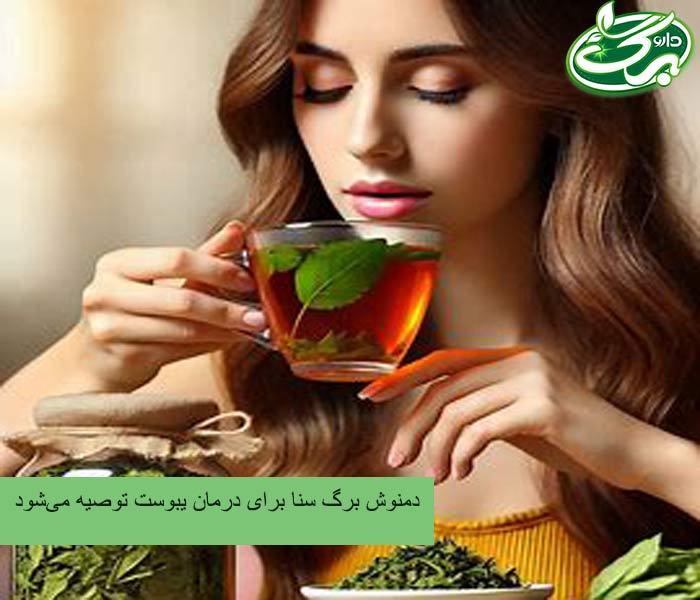 خرید برگ سنا برای درمان یبوست از داروبرگ 