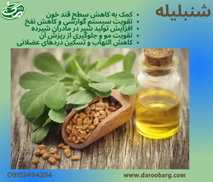 عرق شنبلیله یک داروی گیاهی پرخاصیت است که میتواند به سلامت گوارش، تقویت سیستم ایمنی، تنظیم قند خون، بهبود پوست و مو و کاهش التهاب و دردهای قاعدگی کمک کند.