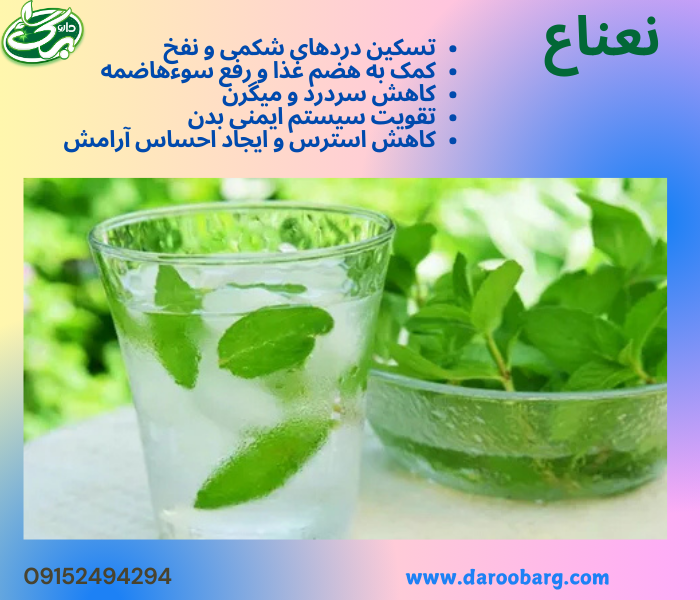 عرق نعنا یک نوشیدنی مفید با خواص متعدد برای سلامتی و زیبایی است که در طب سنتی و زندگی روزمره بهطور گستردهای استفاده میشود.