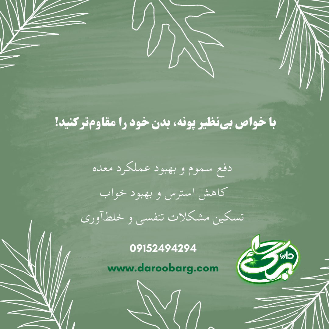 پونه گیاهی برای سیستم ایمنی - داروبرگ