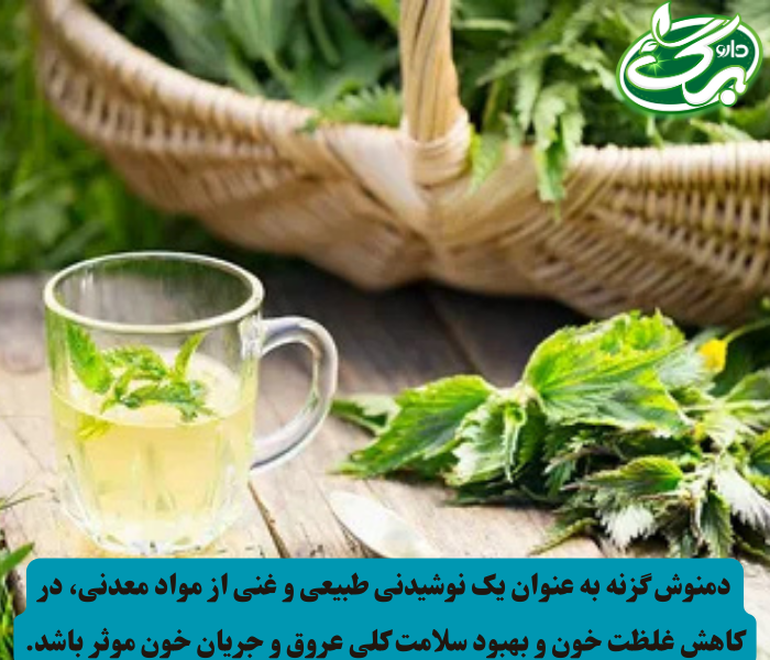 گزنه داروی گیاهی درمان غلظت خون است که به صورت دمنوش نیز  مصرف می شود.
