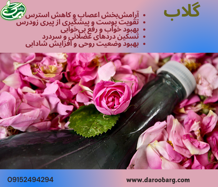 گلاب یک ماده طبیعی است که میتواند بهطور مؤثر در درمان بیماریها، زیبایی پوست و بهبود روحیه کمک کند.