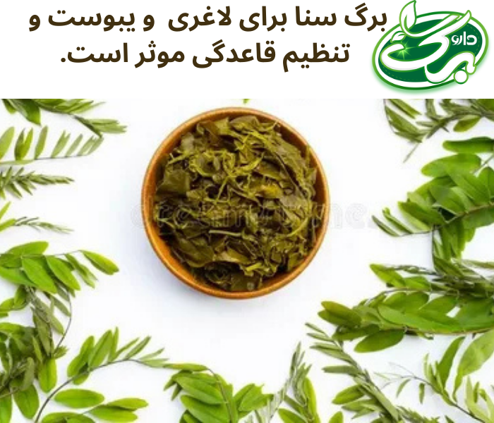 برگ سنا جزو داروهای گیاهی است که دارای خواص بسیار زیادی است.